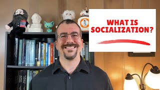 What is Socialization [upl. by Johannes]