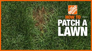 How to Patch a Lawn  The Home Depot [upl. by Pancho]