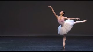 Ballet Evolved The Evolution of Pointe Work [upl. by Apurk986]