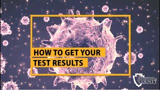 How to Get Your Test Results [upl. by Hartmunn203]