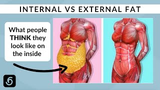 Understanding Internal vs External Fat and Liposuction VISUAL GUIDE [upl. by Bodnar]