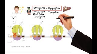 Pharmacology – ANTIBIOTICS – DNA RNA FOLIC ACID PROTEIN SYNTHESIS INHIBITORS MADE EASY [upl. by Nemzzaj]