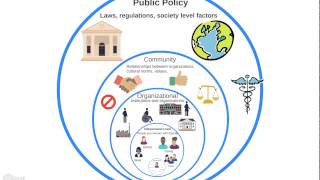 Intro to the Ecological Model [upl. by Eillim937]