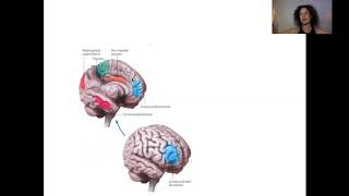 El cerebro meditando Nazareth Castellanos [upl. by Jolynn]