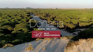 Parque Nacional de Doñana 💚 50 Aniversario [upl. by Manaker151]