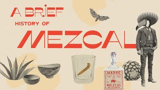 A Brief History of Mezcal [upl. by Leamse260]