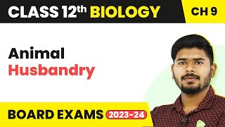 Class 12 Biology Chapter 9  Animal Husbandry Strategies for Enhancement in Food Production 202223 [upl. by Notsuj961]