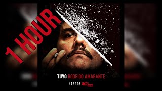 NARCOS MEXICO  TUYO  RODRIGO AMARANTE  1 HOUR VERSION [upl. by Cita92]