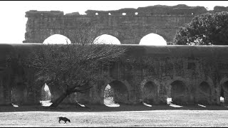 La Fisica degli Acquedotti Romani [upl. by Etta673]