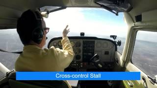 Demonstrated Stalls  Private Pilot Training [upl. by Early]