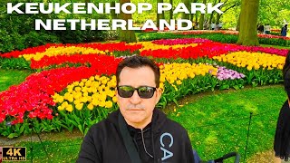 Netherland Keukenhof Park  Holland Flower Park [upl. by Bander]