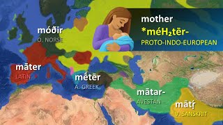 IndoEuropean Languages  Word Comparisons [upl. by Anir]