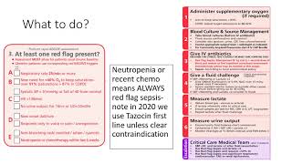 Neutropenic Sepsis [upl. by Chemush417]