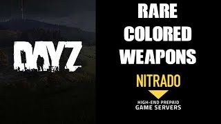 How To Spawn In Rare amp Colored Loot Weapons amp Secret Items DAYZ Nitrado Private Server Xbox PS4 [upl. by Washington115]