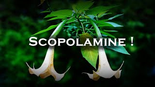 Revisiting transdermal scopolamine – Video abstract ID 68198 [upl. by Tabbie]