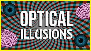 How and Why do Optical Illusions Work [upl. by Ilana575]