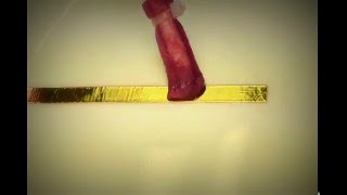 24K Gold Plating Solution Demo  How to Gold Plate Copper Effectively [upl. by Enirroc]