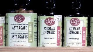 Naturopath Catherine Turnbull on Astragalus [upl. by Sheryle911]