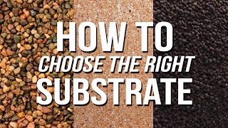 HOW TO Choose an Aquarium Substrate [upl. by Atener]