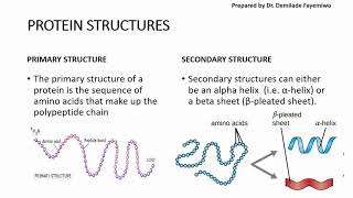 Chapter 23 Biological Molecules  Proteins [upl. by Moazami251]