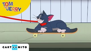 Tom și Jerry  La plimbare  Cartoonito [upl. by Navonoj894]