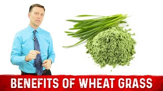 12 Scientific Health Benefits of Wheat Grass Powder by Dr Berg [upl. by Ielarol362]