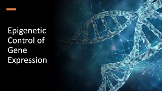 Chromatin Nucleosomes and Epigenetic Inheritance [upl. by Aihsrop]