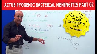 Acute Pyogenic Bacterial Meningitis Part 2 🩺 [upl. by Azarria870]