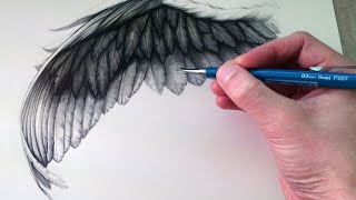 How to Draw a Wing [upl. by Knepper]