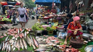 Cambodian Orussey Street Market Tours  Plenty Fresh Seafood Vegetable River Fish amp More In Market [upl. by Essam]