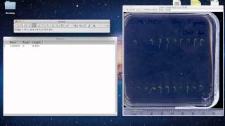 ImageJ Tutorial  Measuring Lengths and Angles [upl. by Collier952]