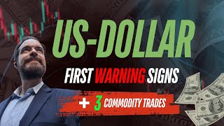 USDollar Warning Signs You Should Know [upl. by Nelrah]