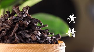 中国传统中药材：黄精 （Traditional Chinese herbal medicines：Polygonatum sibiricum Red） [upl. by Sean442]