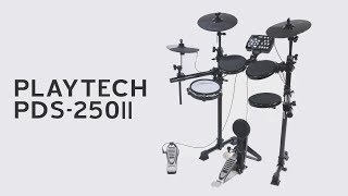 PLAYTECH  PDS250Ⅱ [upl. by Nacul]