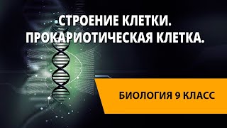 Строение клетки Прокариотическая клетка [upl. by Janicki]