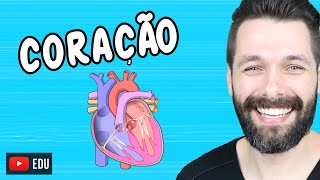 ANATOMIA DO CORAÇÃO  Fisiologia Cardíaca  Biologia com Samuel Cunha [upl. by Debera]