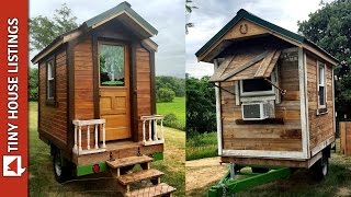 Mike Built Himself A 50 Square Feet Tiny Cabin [upl. by Hamrnand]