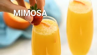 How to Make a Mimosa [upl. by Oilejor340]