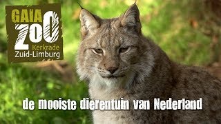 GaiaZOO Kerkrade de mooiste dierentuin van Nederland [upl. by Dnilazor]