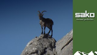 Longrange Spanish ibex hunt [upl. by Madalyn554]