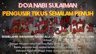 PENGUSIR TIKUS DOA NABI SULAIMAN [upl. by Felix]