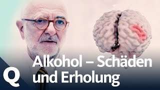 Wie gut kann sich der Körper vom Alkohol erholen  Quarks [upl. by Huei]