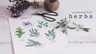 How To Paint Watercolor Herbs  Simple Beginner Tutorial [upl. by Won]