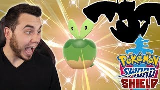 INSANE SHINY APPLIN and SHINY FLAPPLE in Pokemon Sword and Shield [upl. by Ball]