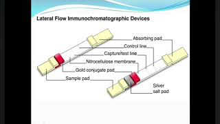 Guide to Immunochromatographic Assay [upl. by Dyol]