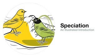 Speciation An Illustrated Introduction [upl. by Ferna]