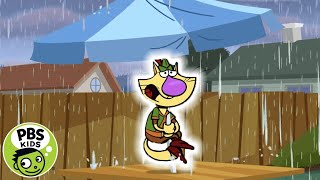 Nature Cat  🙀💧Nature Cat Is Afraid of Water  PBS KIDS [upl. by Hermes]