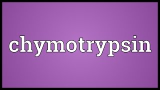 Chymotrypsin Meaning [upl. by Sisco]