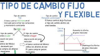 Tipo de cambio fijo y flexible  Cap 16  Macroeconomía [upl. by Irep]