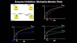 Enzyme Inhibitors  Mechanisms MichaelisMenten Plots amp Effects [upl. by Tterb]